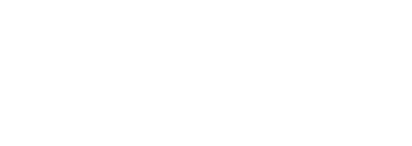 El ferrodiario